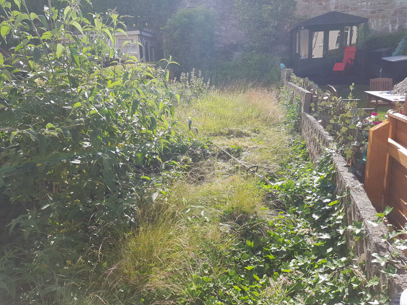 Over grown gardens cleared bangor,belfast,ards,comber,newtownabbey,lisburn