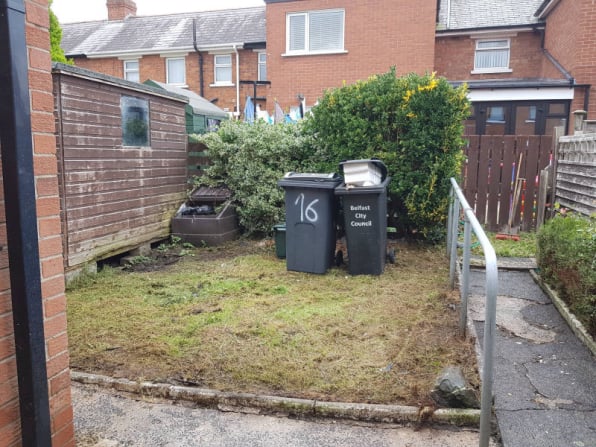 hedge trimming bangor newtownards