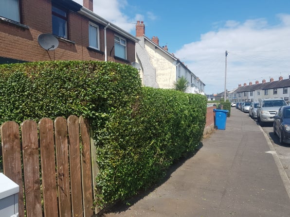 hedge trimming banor newtownards