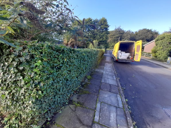 hedge trimming,bangoe,newtownards,belfast