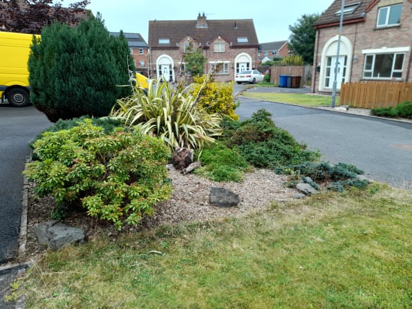 hedge trimming,bangoe,newtownards,belfast