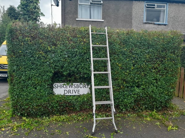 hedge trimming bangor newtownards